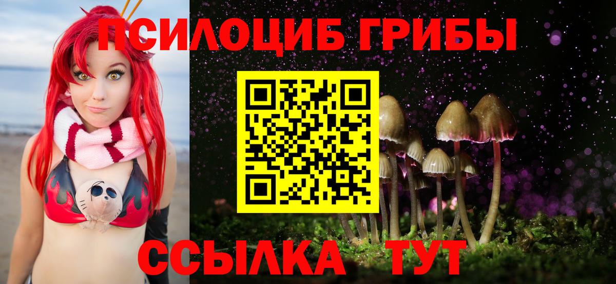 Псилоцибиновые грибы мицелий Холмск