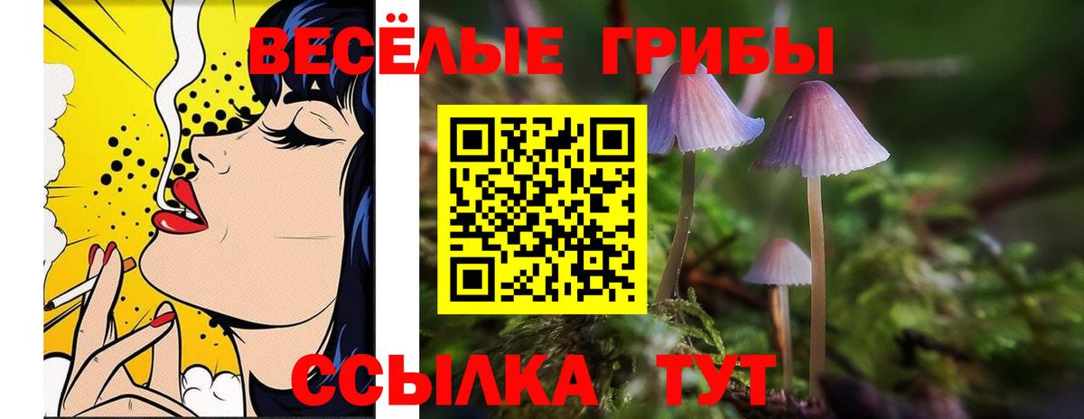 Галлюциногенные грибы Psilocybine cubensis  Вход с VPN  Псилоцибиновые грибы мицелий  Холмск 